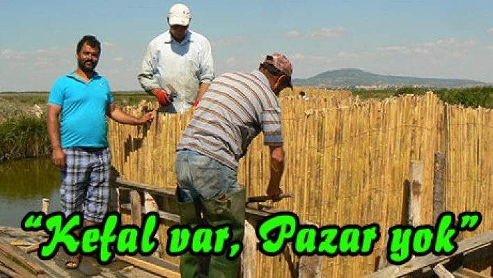'Kefal var, Pazar yok'