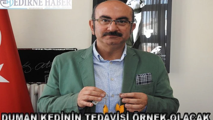 Sokak Hayvanları Cerrahpaşa'da Tedavi Edilecek