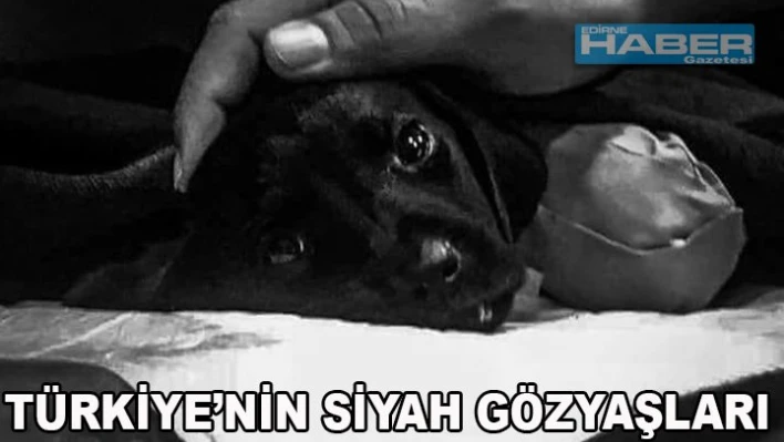 â€˜Türkiye'nin Siyah Gözyaşları'