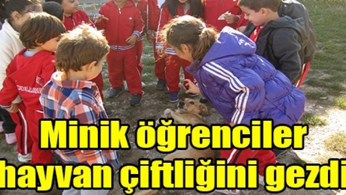 Minik öğrenciler hayvan çiftliğini gezdi