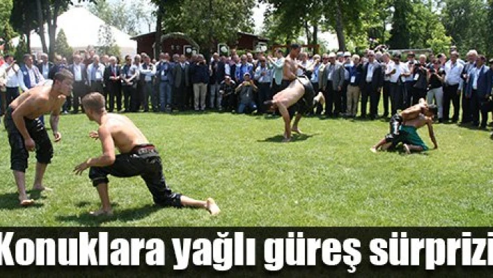 Yağlı Güreş hatırası