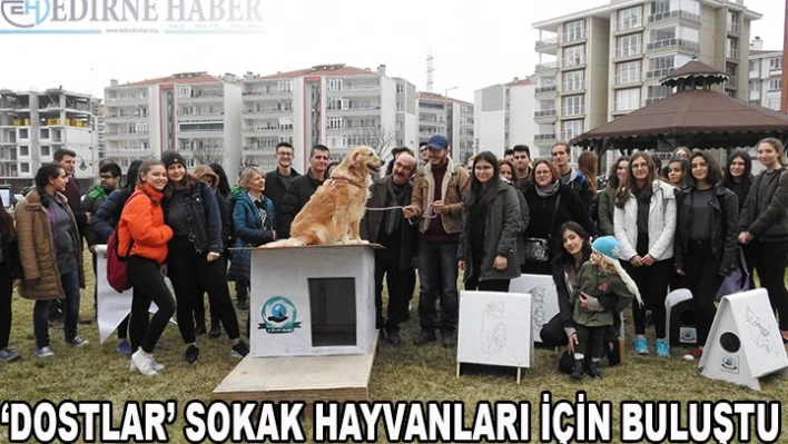 â€˜Dostlar' Sokak Hayvanları İçin Buluştu
