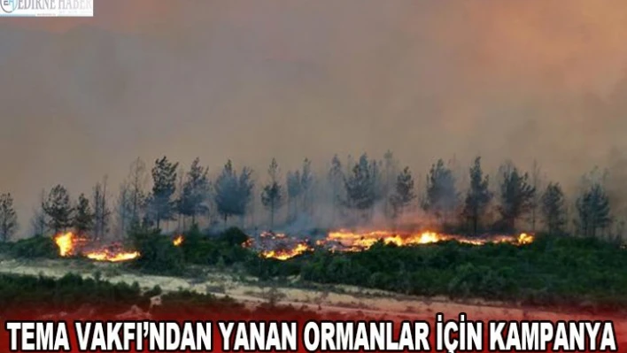 TEMA Vakfı'ndan yanan ormanlar için kampanya
