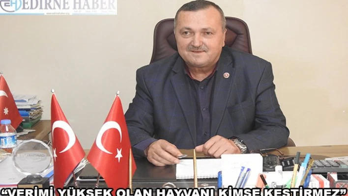 'Verimi yüksek olan hayvanı kimse kestirmez!'