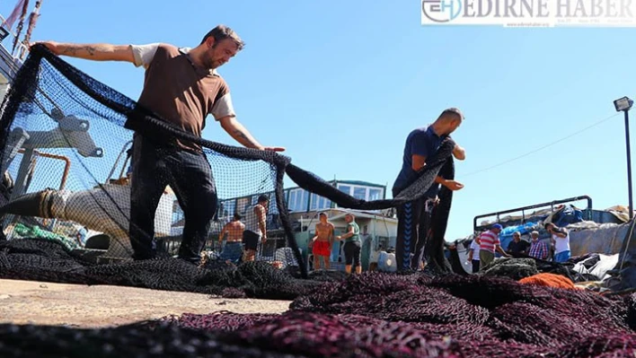 Tekirdağlı balıkçılar rotayı Karadeniz'e çevirdi