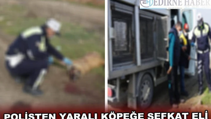 POLİSTEN YARALI KÖPEĞE ŞEFKAT ELİ