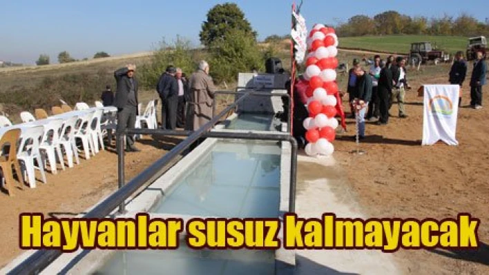 'Hayvanlara verdiğimiz değerin göstergesidir'