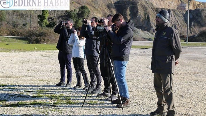 Kırklareli'nde kuş sayımı yapıldı