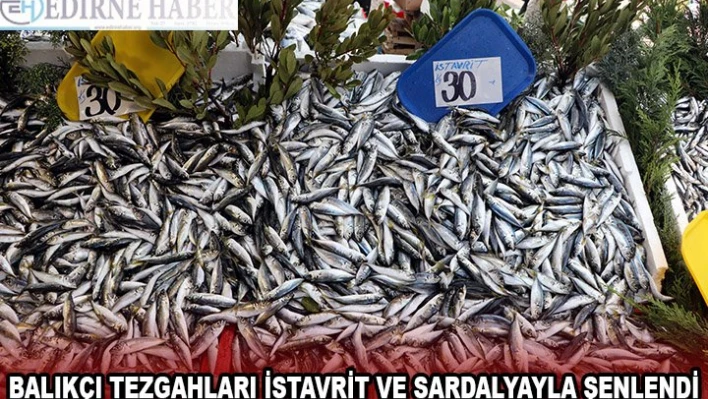 Edirne'de balıkçı tezgahları istavrit ve sardalyayla şenlendi