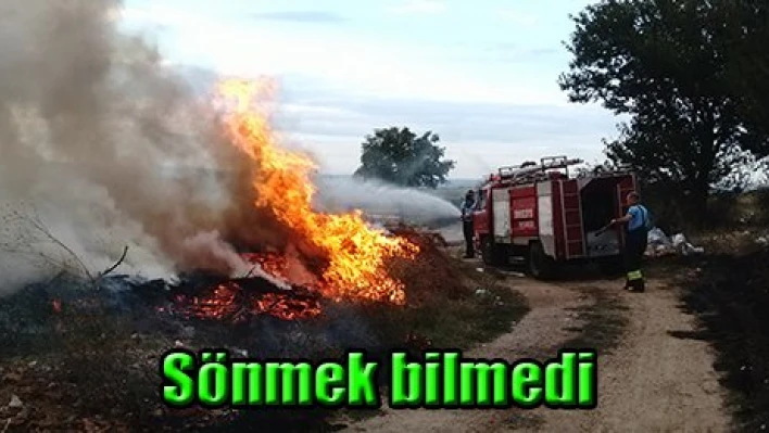 Sönmek bilmedi