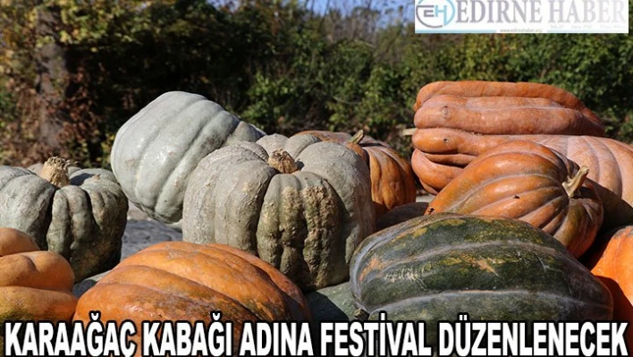 Karaağaç kabağı festivalle tanıtılacak