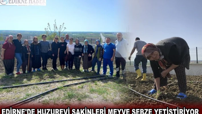 EDİRNE'DE HUZUREVİ SAKİNLERİ MEYVE SEBZE YETİŞTİRİYOR