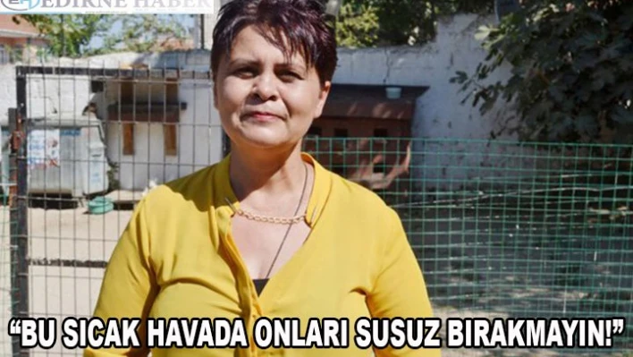 En çok bu günlerde ihtiyaçları var