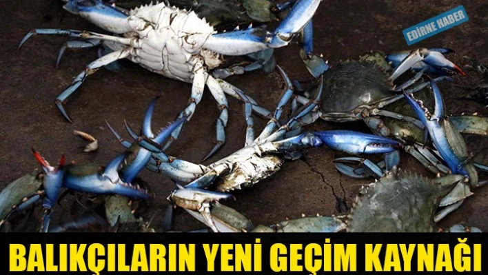 Ekmek kapıları oldu