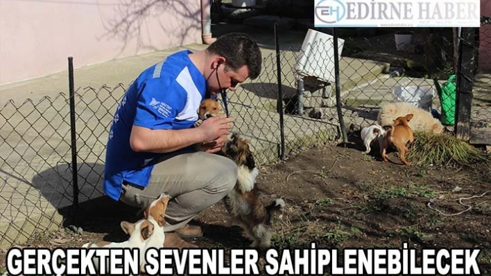 Gerçekten Sevenler Sahiplenebilecek
