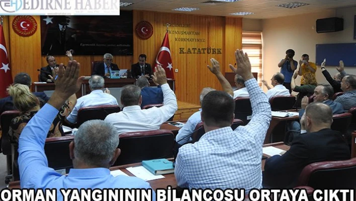 Orman Yangınının Bilançosu Ortaya Çıktı