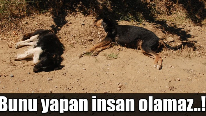 Zehirlenerek öldürüldüler