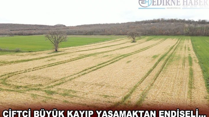 ÇİFTÇİ BÜYÜK KAYIP YAŞAMAKTAN ENDİŞELİâ€¦