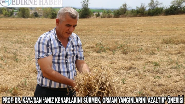 'Anız kenarlarını sürmek, orman yangınlarını azaltır' önerisi