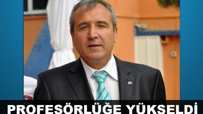 Toksöz, Profesör oldu