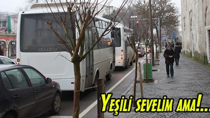 Yeşili sevelim ama!....
