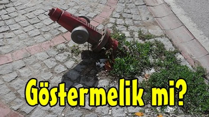 Göstermelik mi?