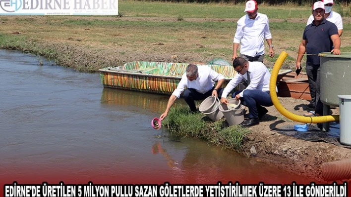 Edirne'de üretilen 5 milyon pullu sazan göletlerde yetiştirilmek üzere 13 ile gönderildi