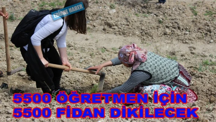 5500 Öğretmene 5500 fidan