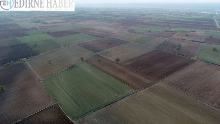 Trakya'nın verimli toprakları çiftçinin yüzünü güldürüyor