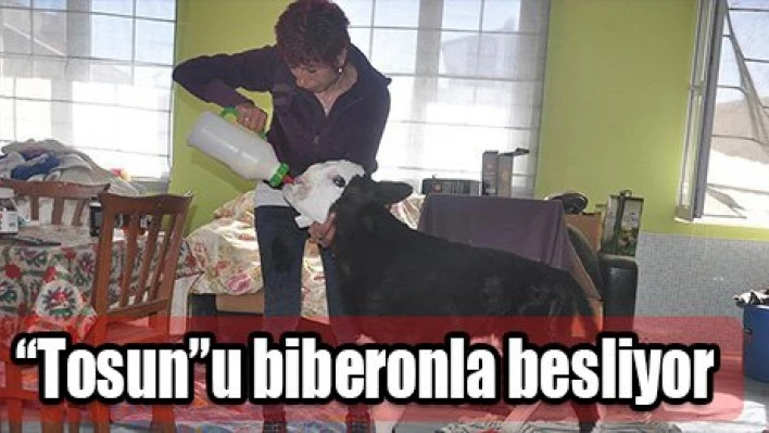 Biberonla besliyor