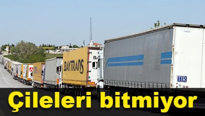 Kuyruk çilesi