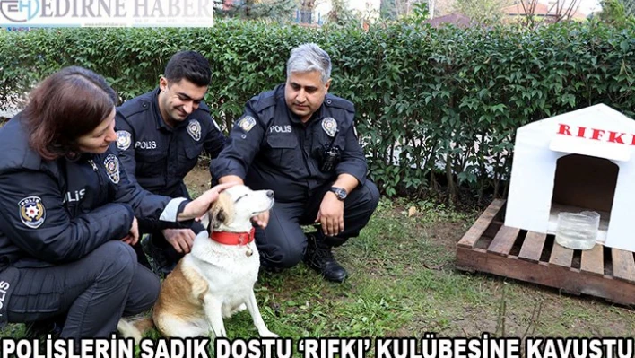 Polislerin sadık dostu 'Rıfkı' kulübesine kavuştu