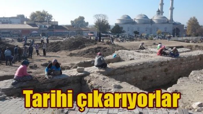 Karınca gibiler