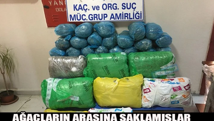 Ormanlık alanda ele geçirildi