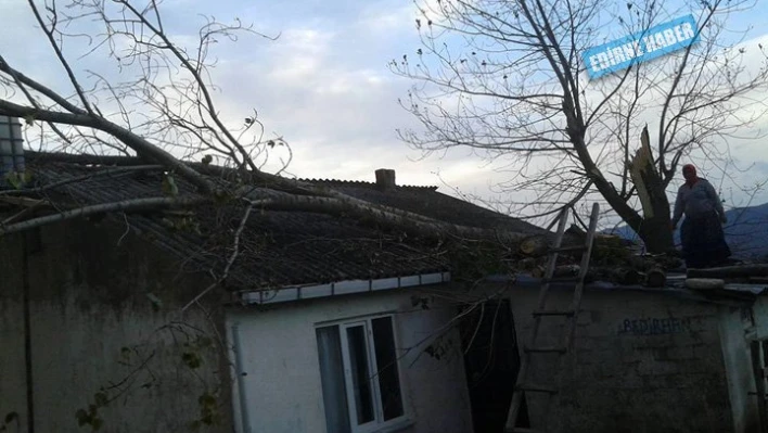Ağaçlar evlerin üzerine yıkıldı