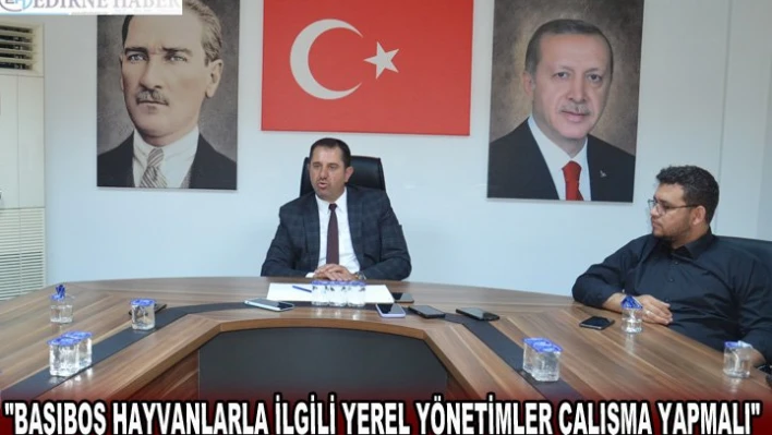 Girgin: 'Başıboş hayvanlarla ilgili yerel yönetimler çalışma yapmalı'