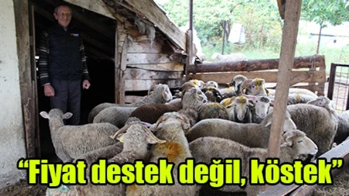 'Fiyat destek değil, köstek'