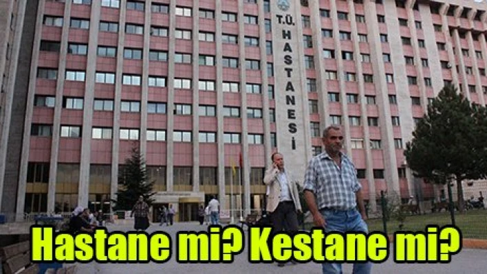 Hastane mi? Kestane mi?