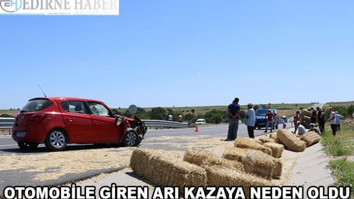 Otomobile giren arı kazaya neden oldu