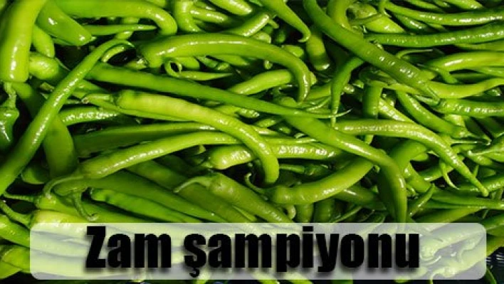 Zam şampiyonu