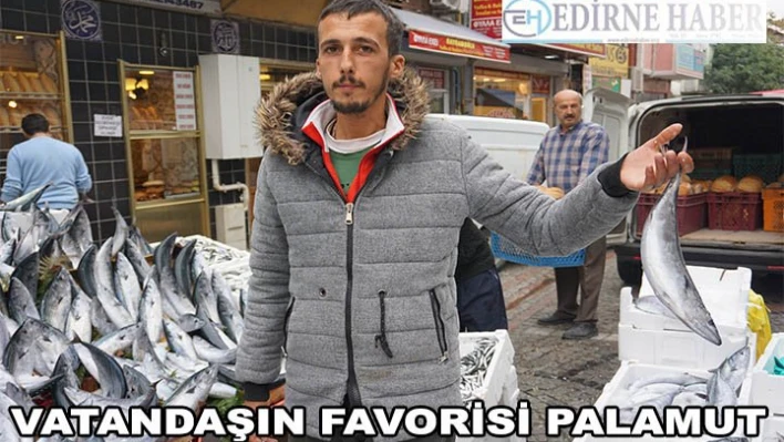 Vatandaşın Favorisi Palamut