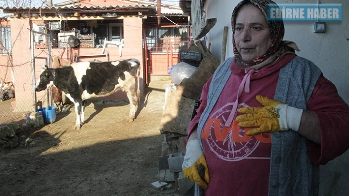 Mehmetçiğe destek için ineğini sattı