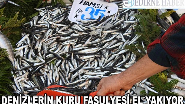 DENİZLERİN KURU FASULYESİ EL YAKIYOR