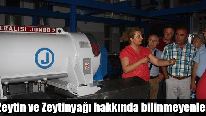 1 Kg. ZeytindeÂ  ne kadar yağ var?