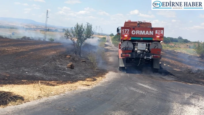 Anız alanından ormana sıçrayan yangın söndürüldü