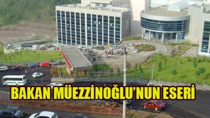 Müezzinoğlu'nun eseri açılıyor