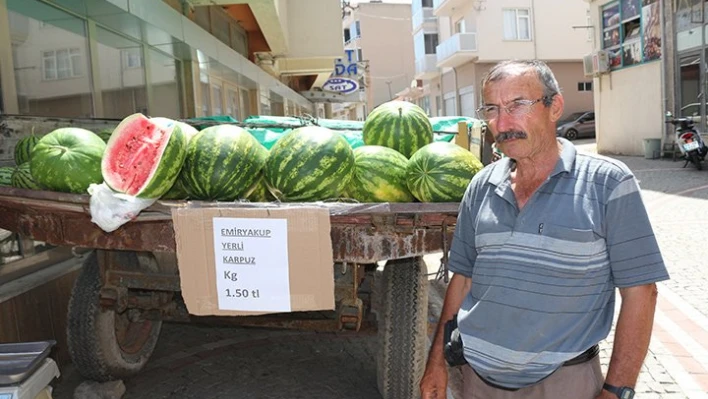 Yerli karpuz satışta