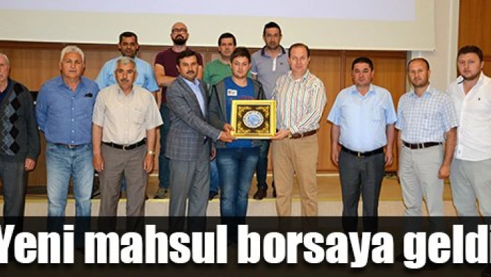 Yeni mahsul buğday Borsa'da