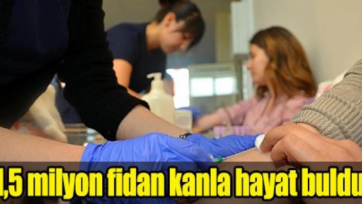 'Bir Kan Bir Fidan'dan 1,5 milyon fidan
