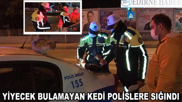 YİYECEK BULAMAYAN KEDİ POLİSLERE SIĞINDI